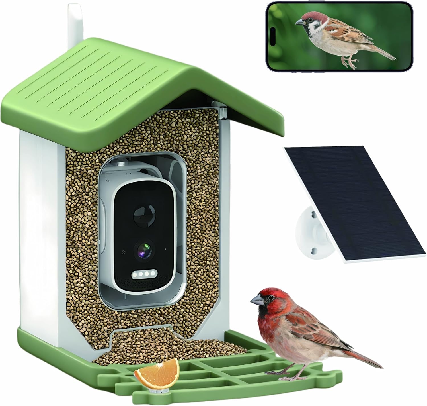 Bird Feeder Camera • High Definition